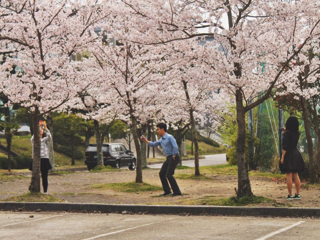 Korean cherry blossom selfies during spring in Korea