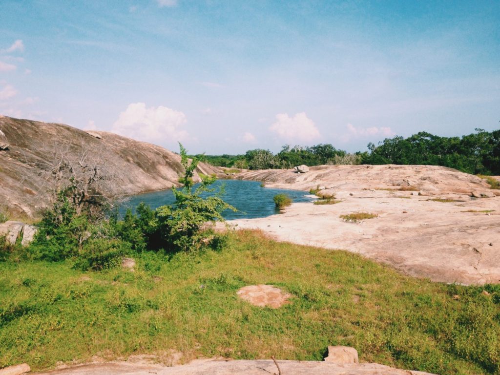 Yala National Park's Beauty in Sri Lanka Travel