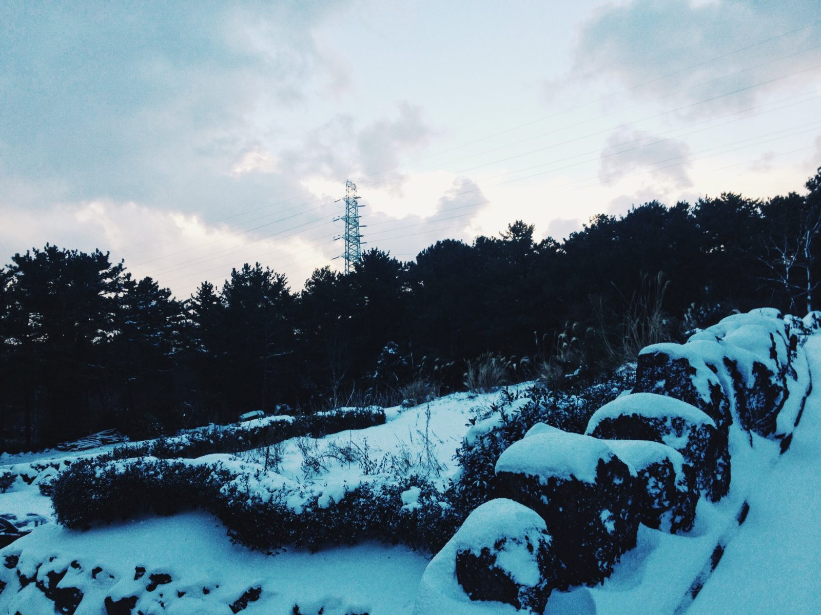 Jeju Snowed Over