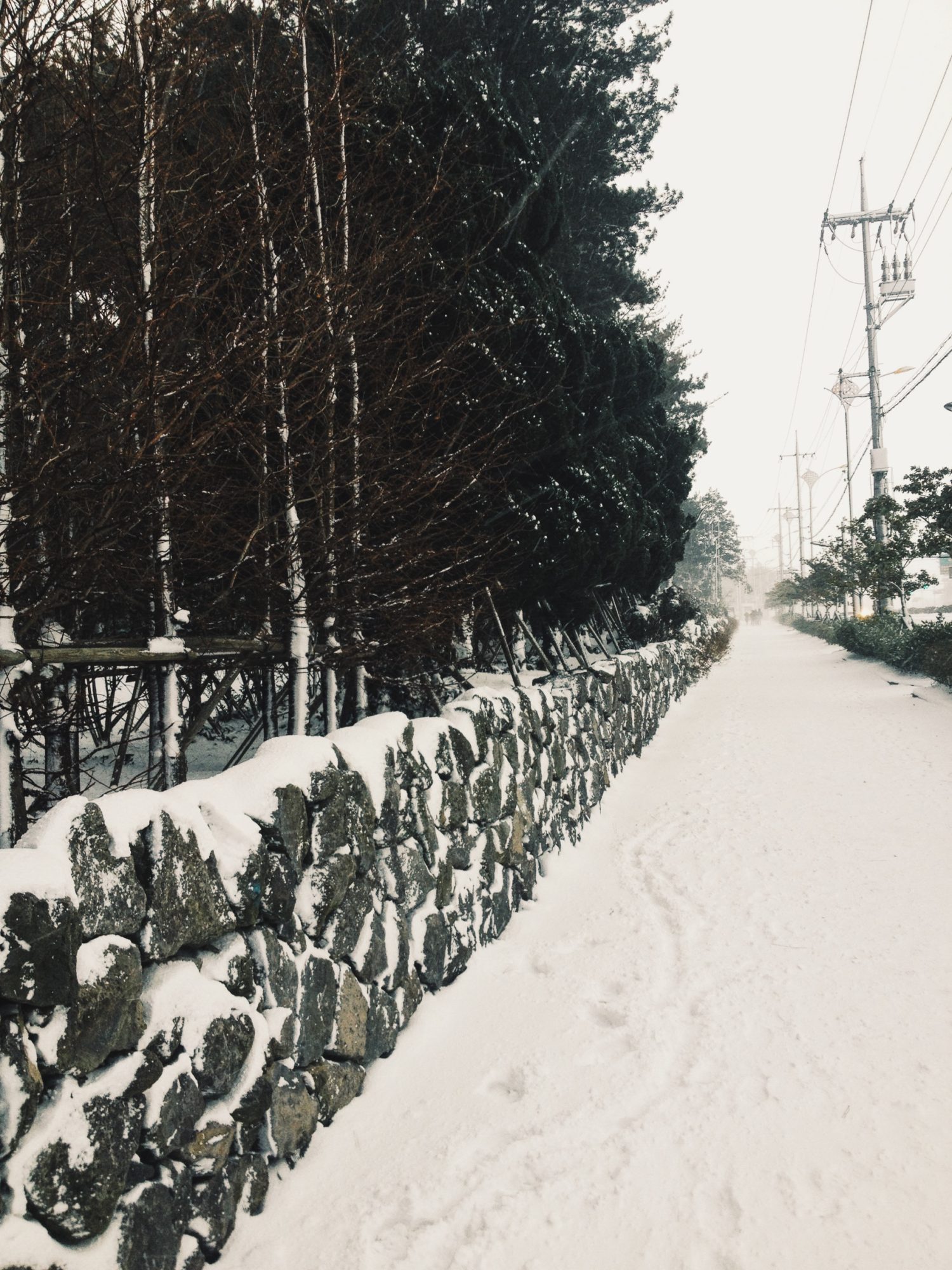 Sidewalk covered in snow