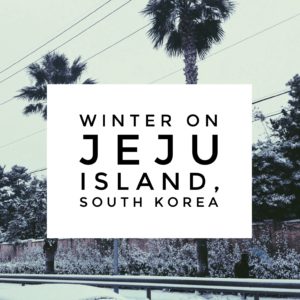 Jeju Island winter, South Korea