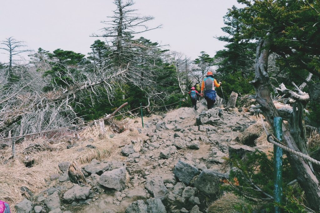 Rocky Path at Halla Mountain