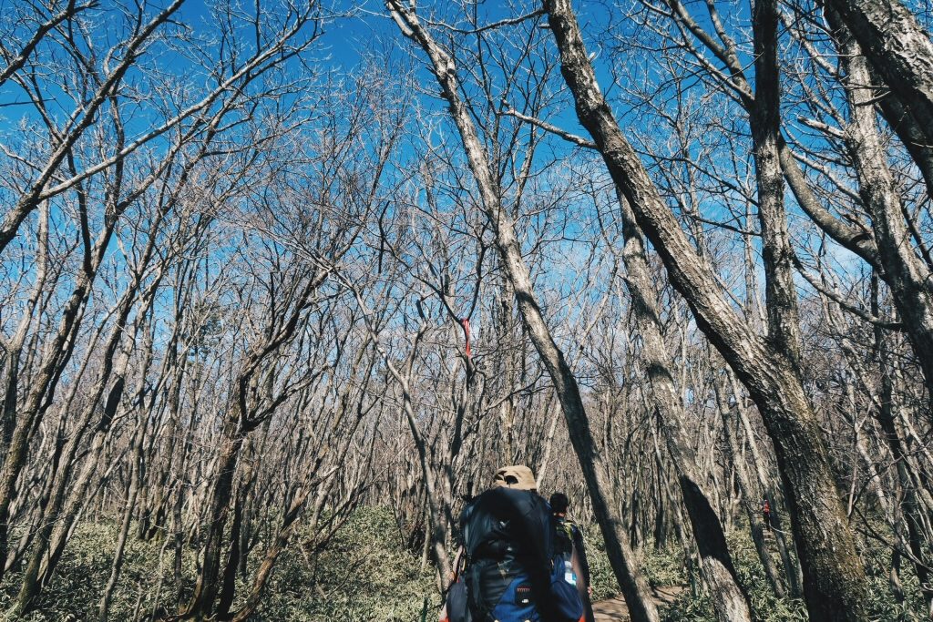 Climbing Halla Mountain, Jeju Island in Early Spring