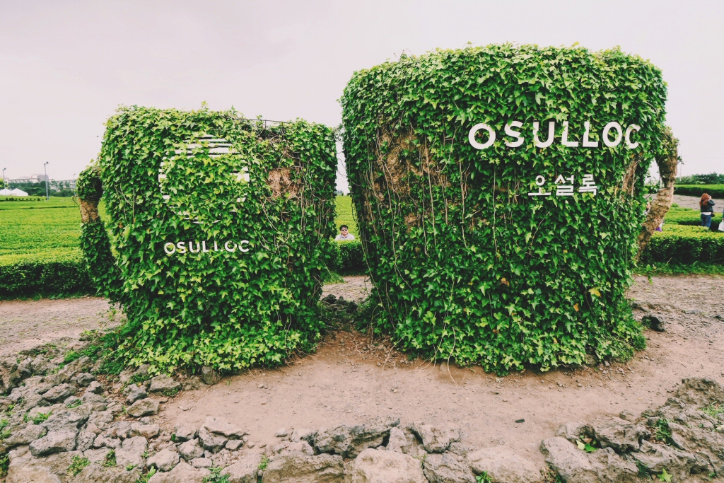 O'Sulloc Tea Mug Sign on Jeju Island