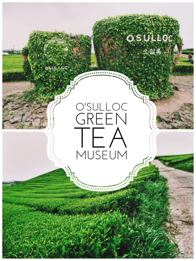 A JEJU KOREA travel guide to the bright green tea fields of the O'Sulloc Tea Museum on beautiful Jeju Island off the coast of South Korea, including its delicious cafe and unique Innisfree shop! We had so much fun at this Osulloc Green Tea Museum on Jeju, and wandering the green tea fields in Jeju is one of our favorite things to do in Jeju, and one of the best things to do in Korea! Jeju green tea fields | jeju green tea farm | jeju green tea plantation | green tea fields on jeju island