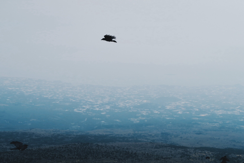 View from the top of Hallasan Mountain