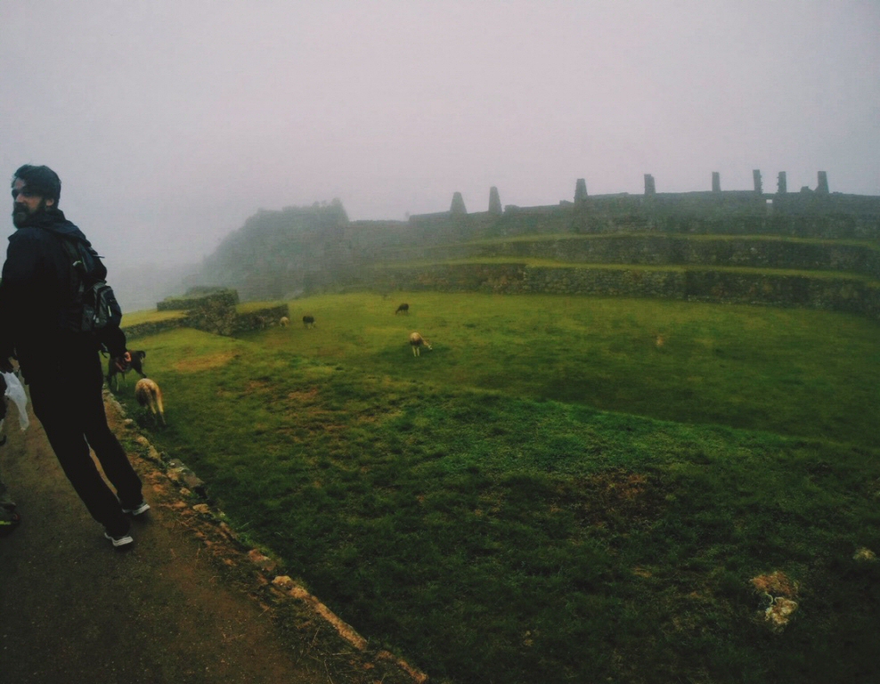 Foggy morning, rushing to climb Huayna Picchu
