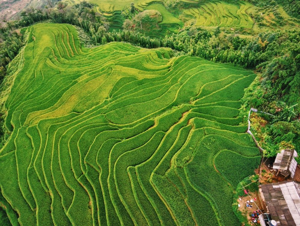 Sapa Tours of the Rice Terraces in Vietnam