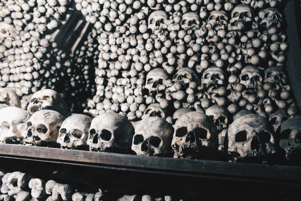 Skeletons at the Bone Church: perfect for Halloween!