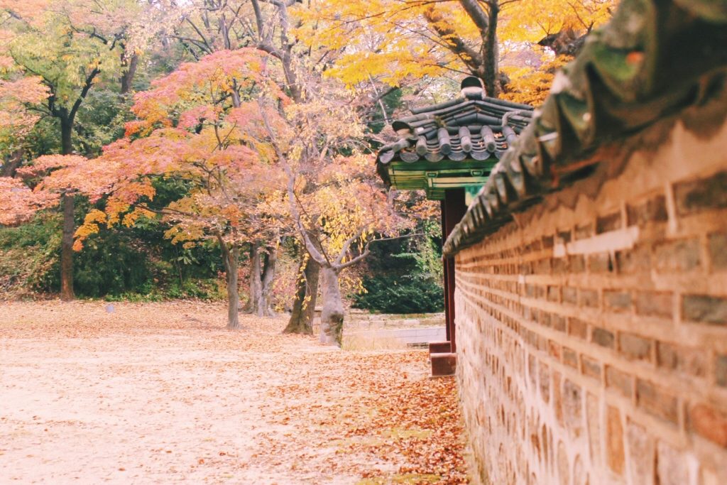 Changdeokgung Palace - Secret Garden, Autumn in Korea