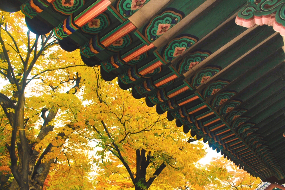 South Korea autumn leaves against Changdeokgung Palace architecture