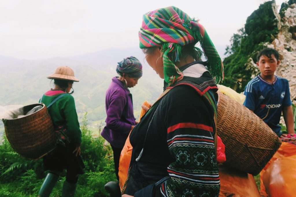 Corn, Hmong hill-tribes on Sapa trek in Vietnam