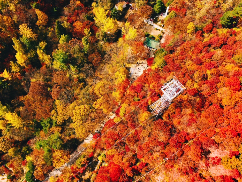 Daedunsan Mountain, South Korea Autumn Leaves
