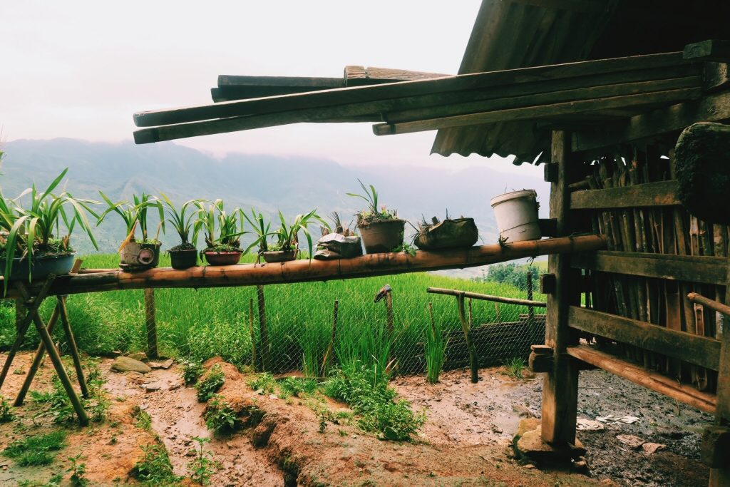 Homestay with the Hill-tribes in Sapa, Vietnam
