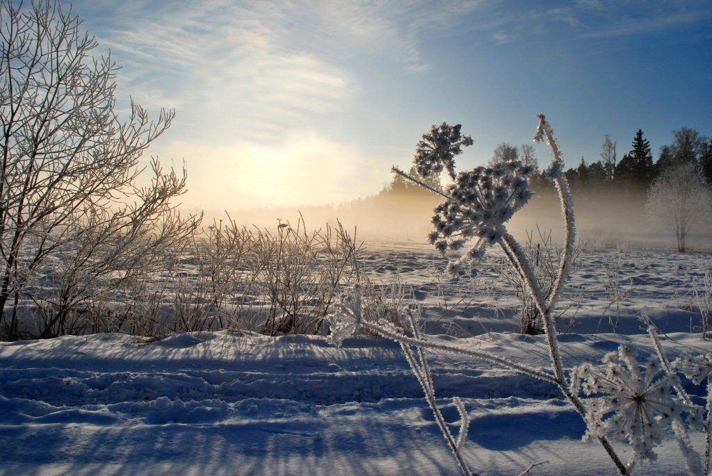 Finland - gabrlielahereandthere, top winter travel destination