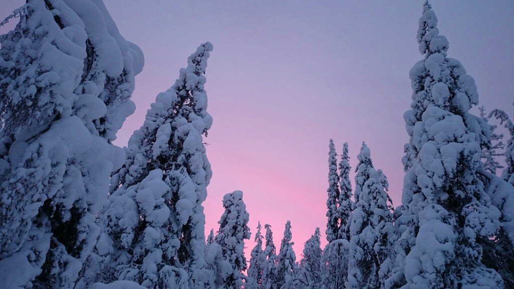 Finnish Lapland - tigrest, top winter travel destination