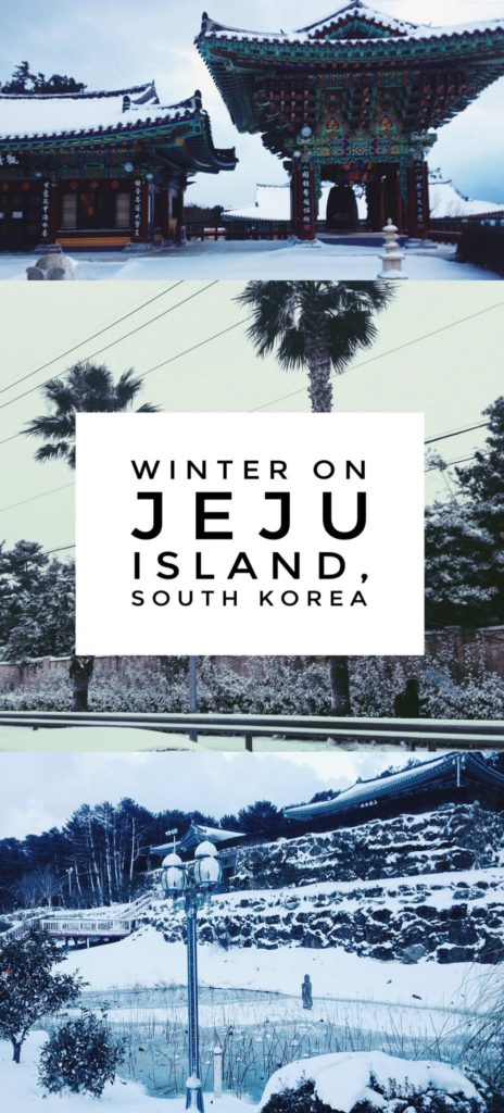 Jeju Island Winter in South Korea