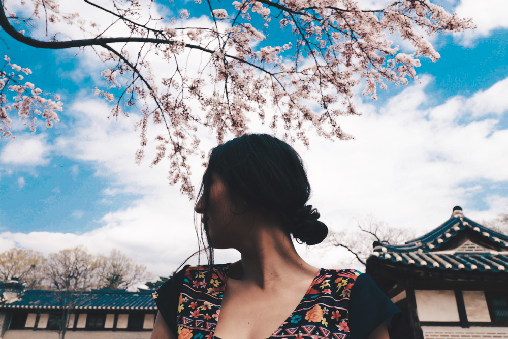 Lauren for Cherry Blossom Korea at Changdeokgung Palace