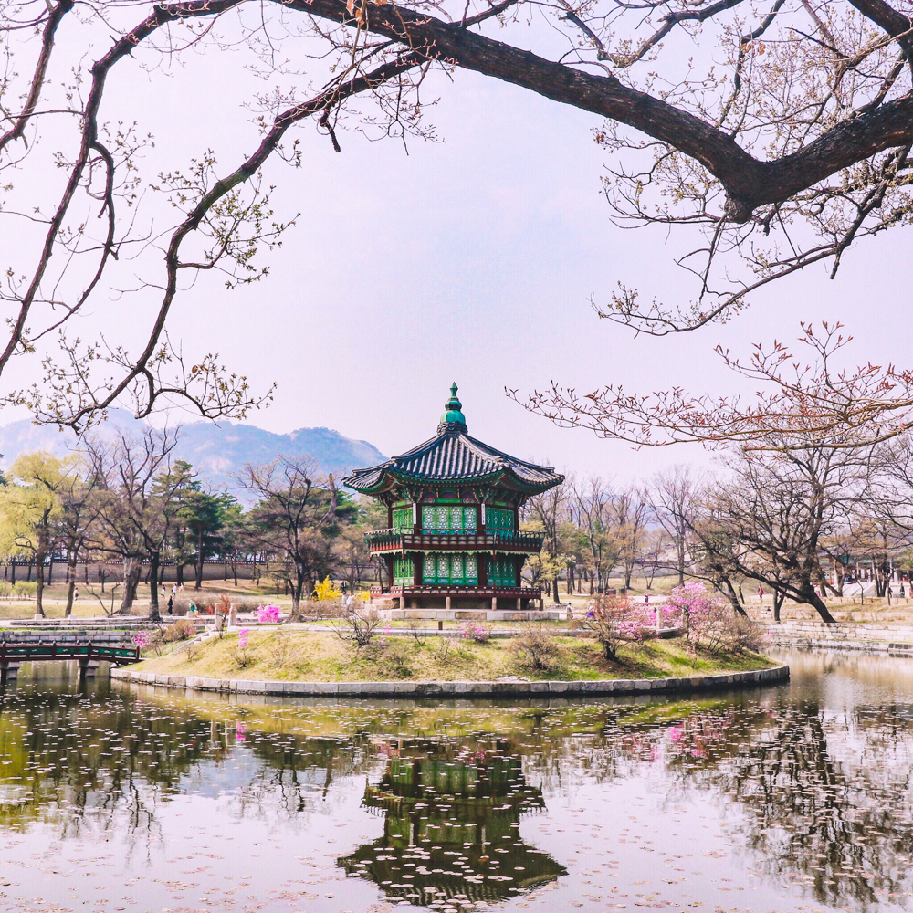 Seoul, Spring in Korea at Gyeongbokgung Palace