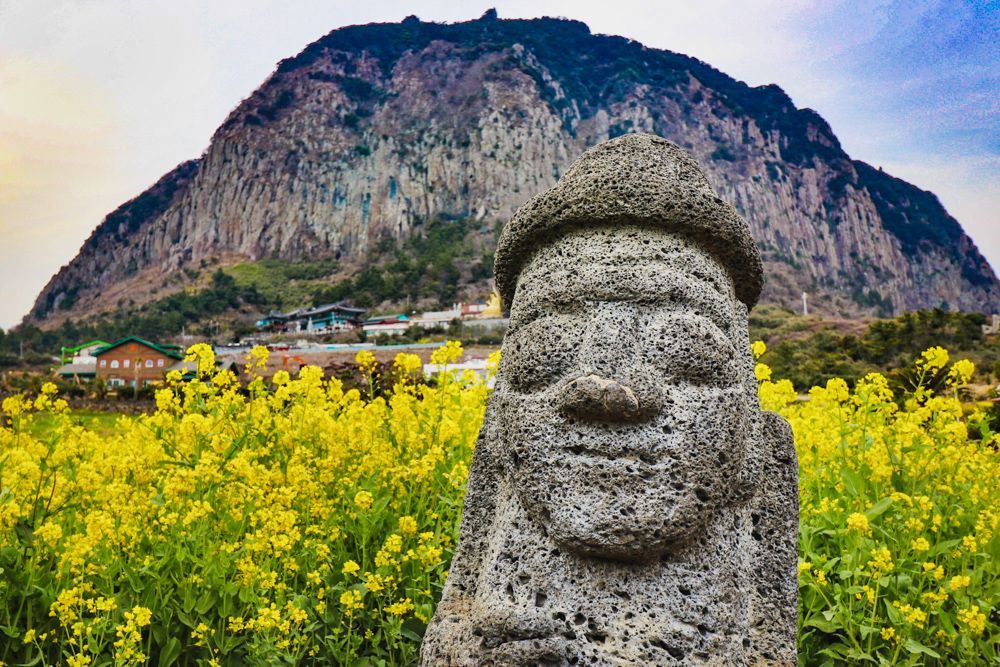 Mount Sanbangsan on Jeju Island, South Korea in the spring is covered with vibrant canola flowers