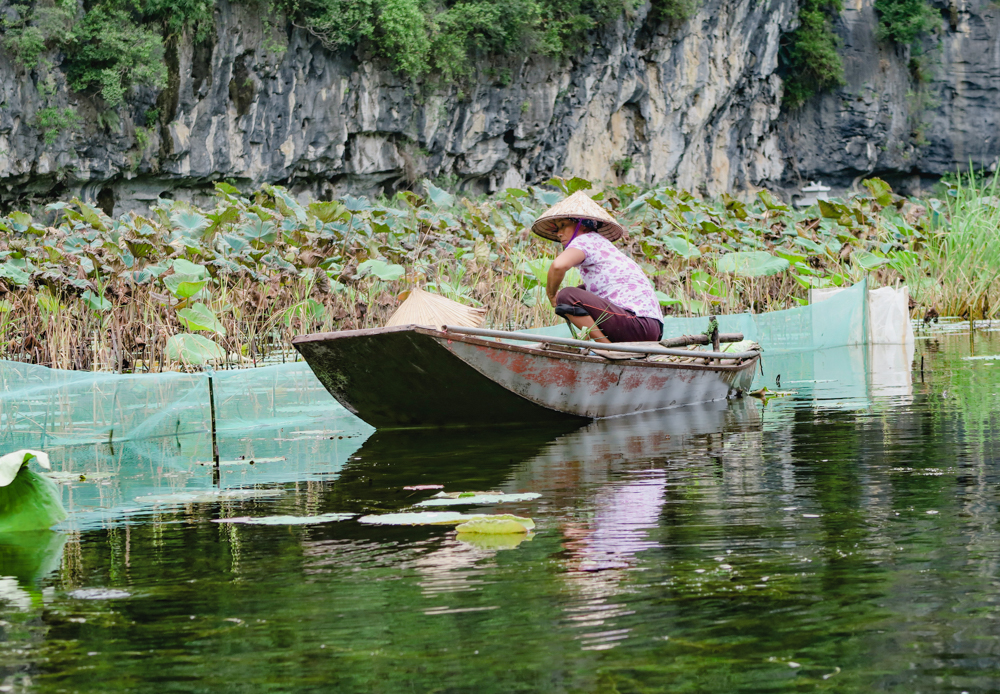 Tam Coc Boat Tour Vietnam, Ninh Binh