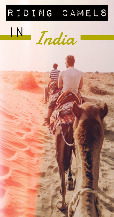 Want to ride a camel in India? Don't miss out on one of the best things to do in India! Find out the best way to enjoy an Indian camel safari in Jaisalmer and camp out on the sand dunes! You can't leave Jaisalmer, India without experiencing this opportunity of a lifetime.
