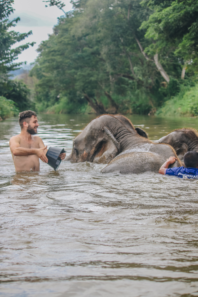 Bathing elephants in Thailand river