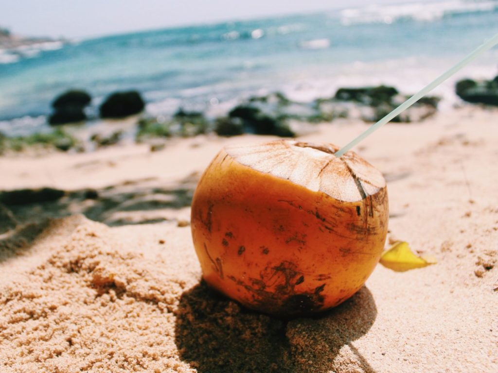 Plan a trip to Sri Lanka for a 30 cent coconut on the Secret Beach sand