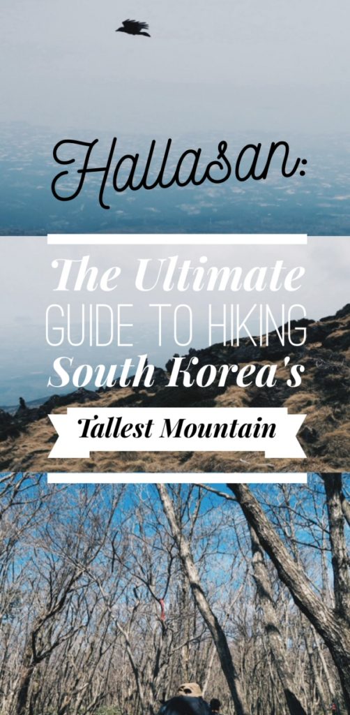 Climbing Hallasan Mountain: The Ultimate Guide to Hiking South Korea's Tallest Mountain on Jeju Island, South Korea. The essential guide for climbing the tallest mountain of South Korea, Jeju Island's Hallasan Mountain, including seasonal essentials and must-know tips! Climbing Mount Hallasan is one of the best things to do in Jeju, and certainly one of the best things to do in South Korea!