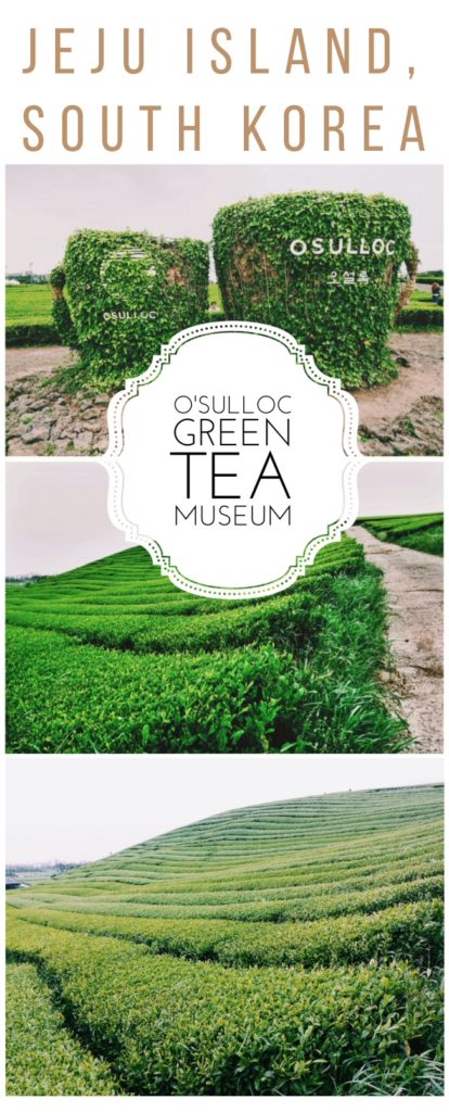 A JEJU KOREA travel guide to the bright green tea fields of the O'Sulloc Tea Museum on beautiful Jeju Island off the coast of South Korea, including its delicious cafe and unique Innisfree shop! We had so much fun at this Osulloc Green Tea Museum on Jeju, and wandering the green tea fields in Jeju is one of our favorite things to do in Jeju, and one of the best things to do in Korea! Jeju green tea fields | jeju green tea farm | jeju green tea plantation | green tea fields on jeju island