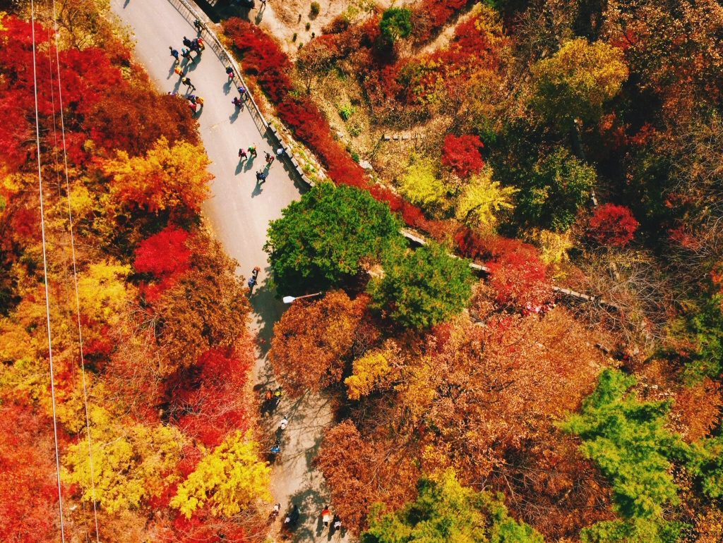 Daedunsan Park, Couples Travel for the Korea autumn season