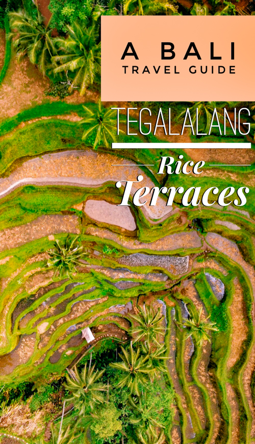 Our Bali travel guide to the Tegalalang Rice Terraces (Tegallalang Rice Terraces), with tips and tricks to enjoy the famous jungle rice paddies in Ubud, Indonesia without the crowds! If you're planning on visiting Bali, don't miss visiting the Tegalallang rice terraces for spectacular views--it's easily one of the best things to do in Ubud AND one of the best things to do in Bali! So make the most out of your Ubud trip. You can't leave the Tegalalang Rice Paddies off your Bali itinerary!