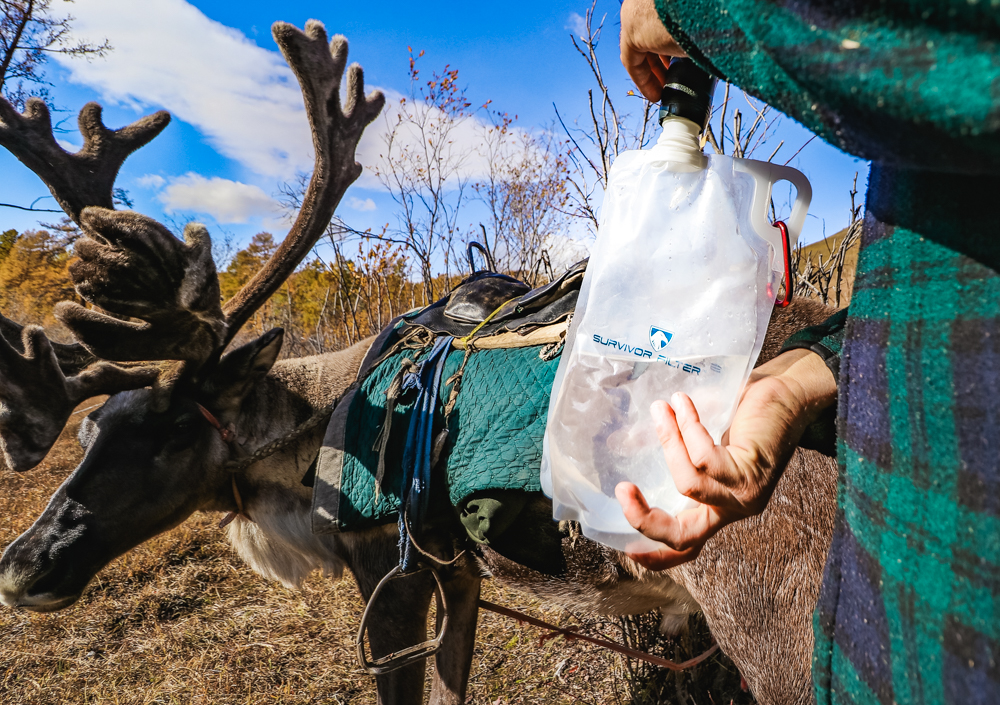 Survivor Filter Reindeer Trek in Mongolia