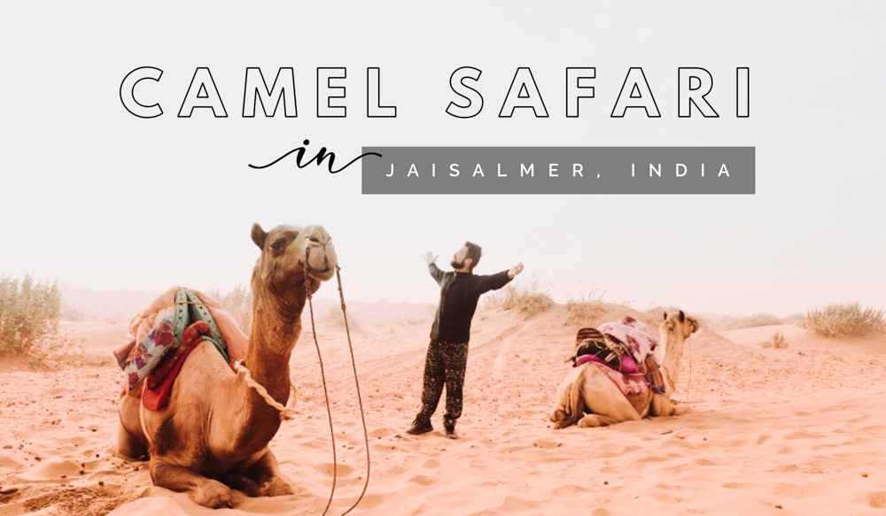 Want to ride a camel in India? Don't miss out on one of the best things to do in India! Find out the best way to enjoy an Indian camel safari in Jaisalmer and camp out on the sand dunes! You can't leave Jaisalmer, India without experiencing this opportunity of a lifetime. It's one of the best things to do in Rajasthan!