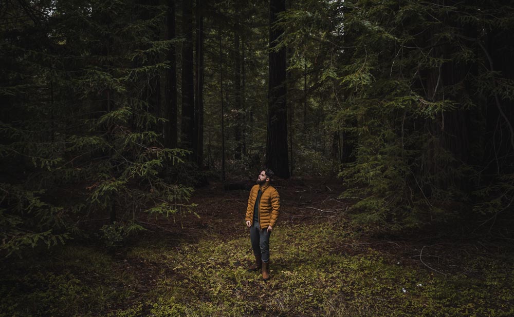 Stylish mens travel wear for exploring the forest