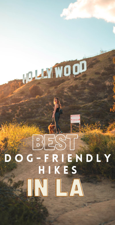 All of the top dog-friendly hikes in Los Angeles, including the best off-leash dog hikes. Find popular dog hikes in LA and lesser known gems to get your dog some exercise in nature! | best dog hikes los angeles | dog friendly hikes los angeles | dog friendly hikes malibu | dog friendly hiking trails los angeles | off leash hikes los angeles | dog friendly hikes in la | dog friendly hikes santa monica | best hikes with dogs los angeles | best hikes for dogs in la | dog friendly trails los angeles