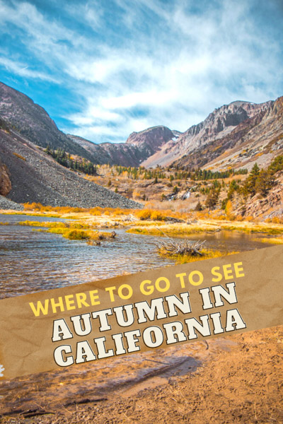 Essential guide to the Eastern Sierra fall colors in California, including top sites to see fall color in Mammoth lakes & more! The Eastern Sierra is one of the best places to visit in California in autumn! best fall colors in California | where to see fall colors in California | california fall guide | where to go to see california autumn | where to go to see autumn in california | Mammoth Lakes fall colors | June Lake Loop fall colors | June Lake fall colors | Fall color of Eastern Sierra
