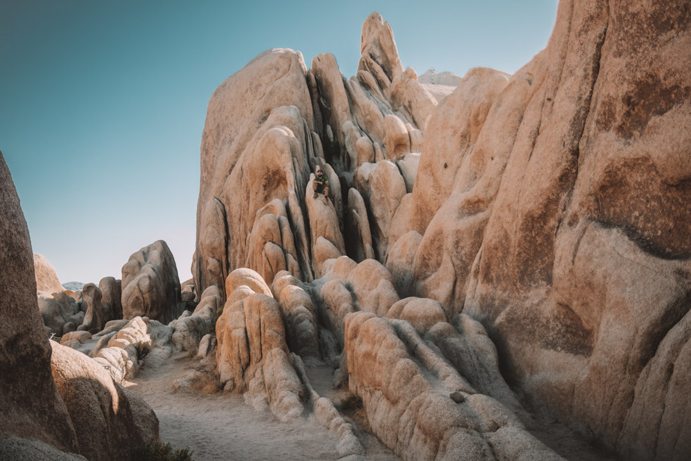 Be sure to set aside to climb some rocks on your 1 Day Joshua Tree Itinerary