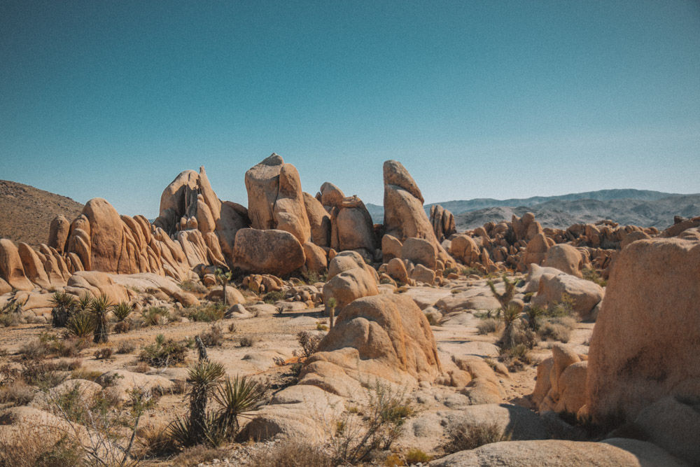Rock formations at Joshua Tree National Park