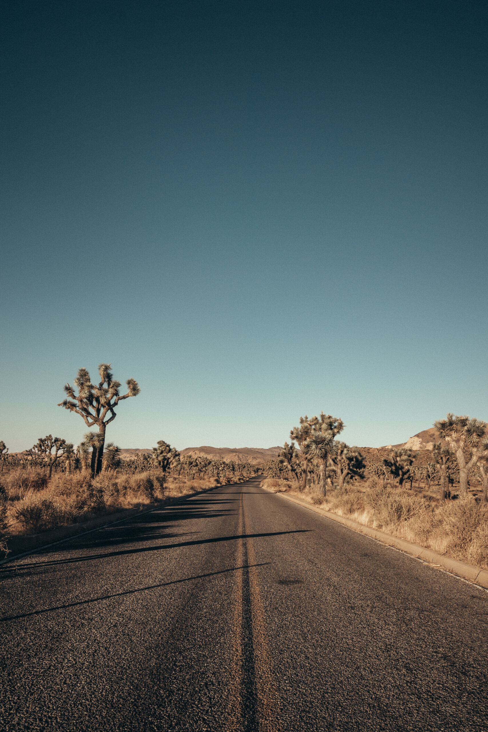 One Day in Joshua Tree Itinerary: Ultimate Day Trip to Joshua Tree ...