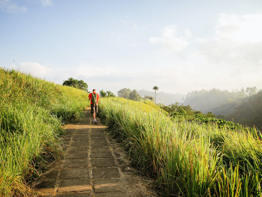 Campuhan Ridge Walk is one of the best things to do in Bali with kids