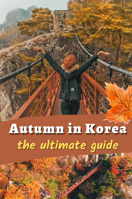 Our ultimate Korea autumn season guide will teach you everything to know about Korea in autumn: why autumn in Korea is the best time to visit, teach you how to say autumn in the Korean language, the most magical spots to experience autumn leaves in Korea, and more! when to travel to korea | what to do in korea in autumn | nami island autumn | fall in korea | nami island in autumn | september korea weather | seoul autumn | autumn fashion in korea | autumn in south korea #southkorea #travel