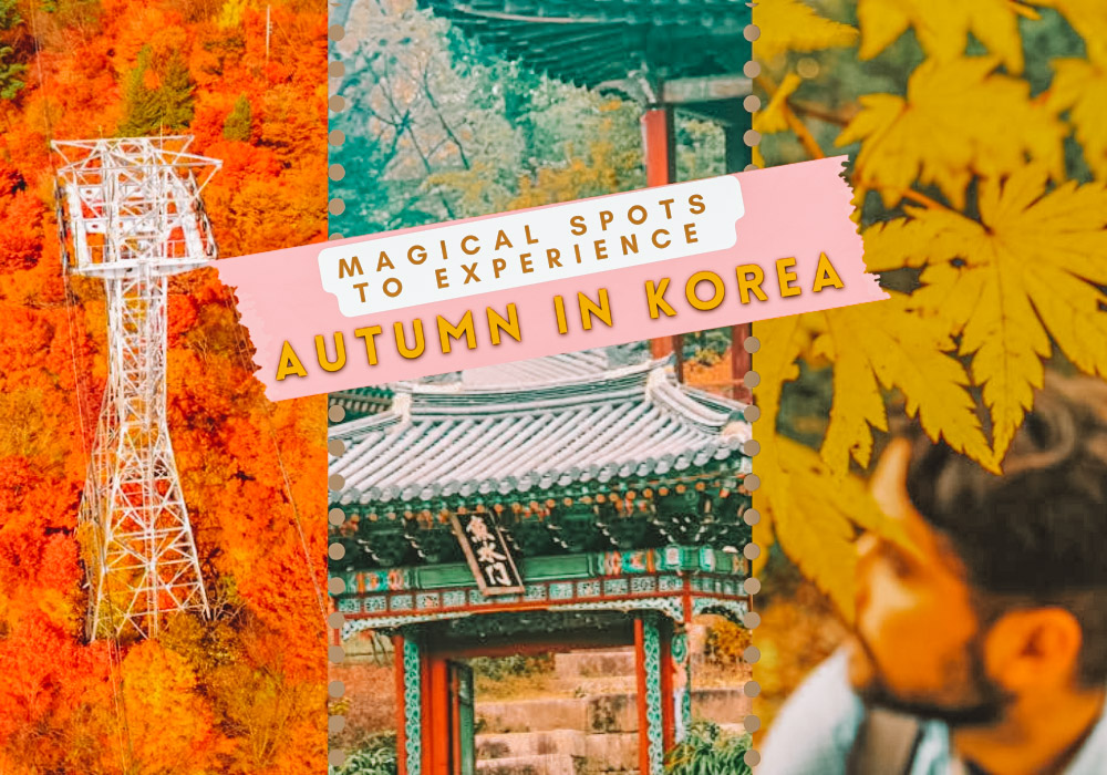 Our ultimate Korea autumn season guide will teach you everything to know about Korea in autumn: why autumn in Korea is the best time to visit, teach you how to say autumn in the Korean language, the most magical spots to experience autumn leaves in Korea, and more! when to travel to korea | what to do in korea in autumn | nami island autumn | fall in korea | nami island in autumn | september korea weather | seoul autumn | autumn fashion in korea | autumn in south korea #southkorea #travel