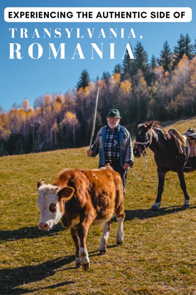 Experience the beauty of the Carpathian Mountains and find out the best hikes in Romania with the Outdoor Adventures in Romania travel guide! Hiking in Romania mountains is a beautiful way to experience the country, and a skilled Romania tour operator will show you the top hikes in Romania. romania escorted tours | things to do in romania hiking | romania nastional parks | things to see in romania | best hikes in romania hikes | best places to visit in romania | hiking in transylvania romania