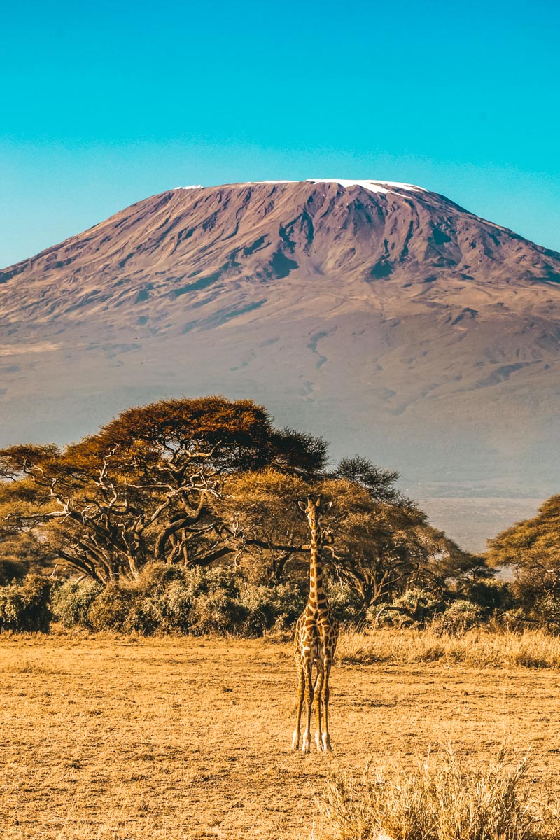 The climbing Kilimanjaro difficulty level is significant due to the high altitude, which can cause altitude sickness with symptoms like headaches and nausea.