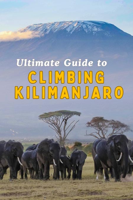 Ultimate beginner's climbing Kilimanjaro guide for Africa's highest peak in Tanzania! Planning to climb Mount Kilimanjaro? We cover the essentials for trekking Kilimanjaro: choosing the best routes on Kilimanjaro the best time to climb Kilimanjaro, Kilimanjaro acclimatization, climbing Kilimanjaro routes, best time to climb Kilimanjaro, Mount Kilimanjaro weather, best Mount Kilimanjaro tour company. Marangu Route, Machame Route | Kilimanjaro trekking path | Kilimanjaro climb