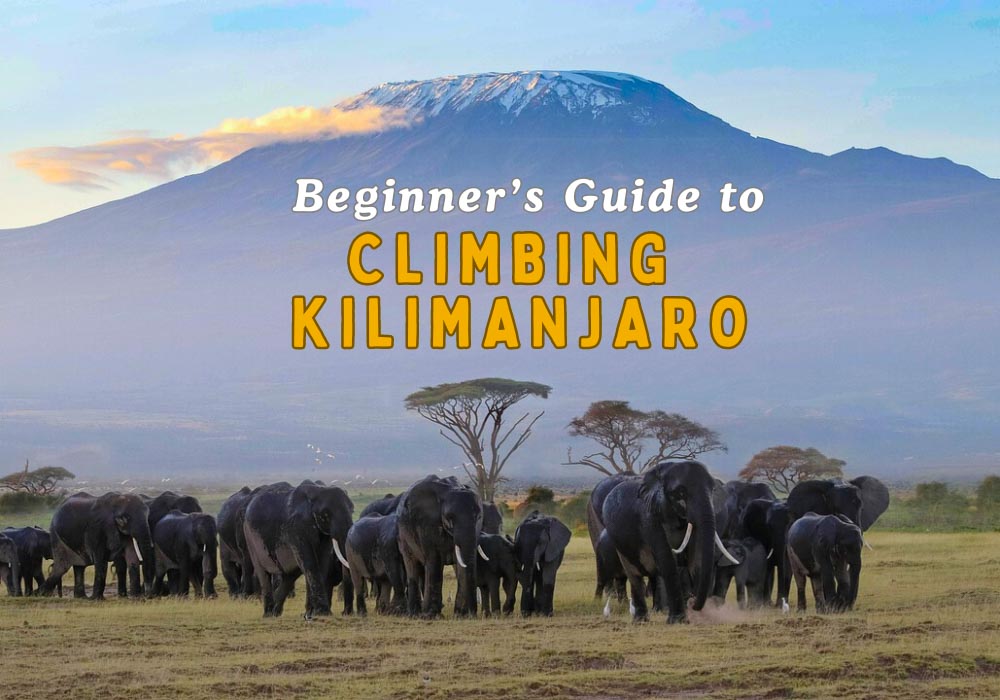 Ultimate beginner's climbing Kilimanjaro guide for Africa's highest peak in Tanzania! Planning to climb Mount Kilimanjaro? We cover the essentials for trekking Kilimanjaro: choosing the best routes on Kilimanjaro the best time to climb Kilimanjaro, Kilimanjaro acclimatization, climbing Kilimanjaro routes, best time to climb Kilimanjaro, Mount Kilimanjaro weather, best Mount Kilimanjaro tour company. Marangu Route, Machame Route | Kilimanjaro trekking path | Kilimanjaro climb