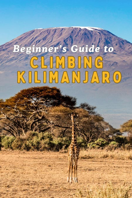 Ultimate beginner's climbing Kilimanjaro guide for Africa's highest peak in Tanzania! Planning to climb Mount Kilimanjaro? We cover the essentials for trekking Kilimanjaro: choosing the best routes on Kilimanjaro the best time to climb Kilimanjaro, Kilimanjaro acclimatization, climbing Kilimanjaro routes, best time to climb Kilimanjaro, Mount Kilimanjaro weather, best Mount Kilimanjaro tour company. Marangu Route, Machame Route | Kilimanjaro trekking path | Kilimanjaro climb