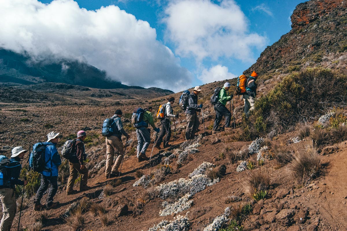 We go onto the top climbing Mt. Kilimanjaro routes, from the Machame Route, Marangu Route, and Lemosho Route