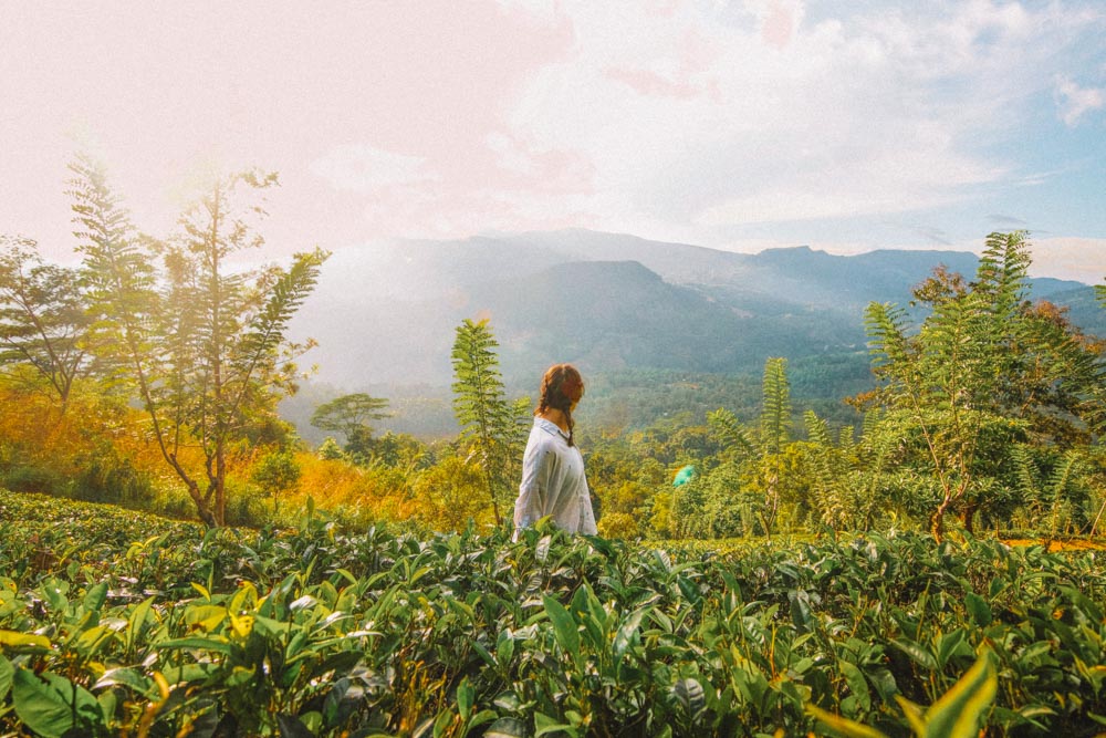 Hiking the Knuckles Mountain Range is one of the best nature things to do in Kandy, Sri Lanka